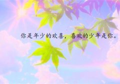 有趣的宣布恋爱的句子