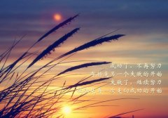 正能量语录集阳光的话
