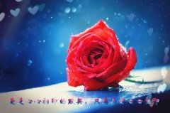 给女生留言的暖心短句