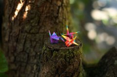 周末发给客户的祝福语大暑