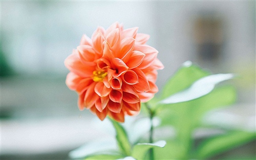 叮嘱别人照顾好自己的话