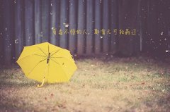 抖音网红情话短句子