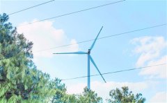 催人泪下的亲情句子