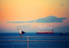 该懂事了致自己的句子