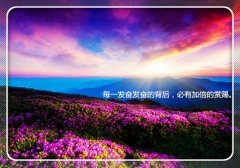 唯美又抒情的句子摘抄