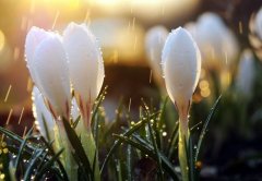 陪你到老的浪漫句子