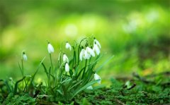 适合晚上2点发的朋友圈