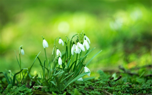 适合晚上2点发的朋友圈