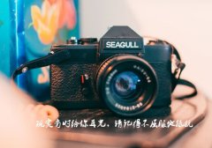 快手最火社会语录大全