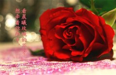 热恋中发朋友圈的情话