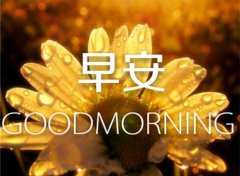 高情商早安问候方式