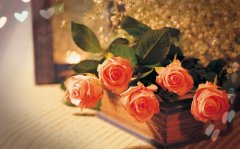 适合发给好朋友的温柔句子