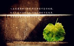 抖音能获赞的文案