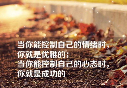 抖音里面比较拽的句子