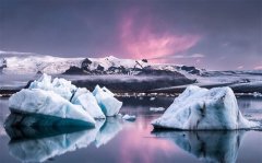 苦累自己扛的经典句子