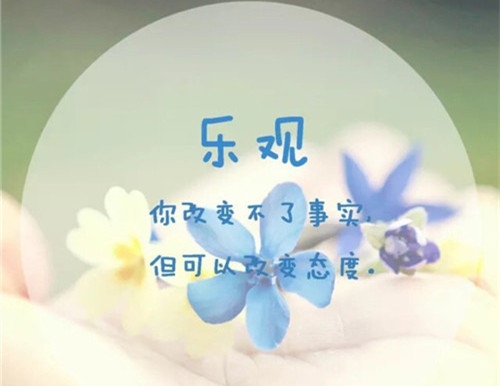 励志软文有干劲的句子