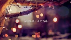 抖音里感悟爱情的经典句子