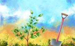 春天植树的句子一年级