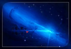 抖音最火的伤感句子