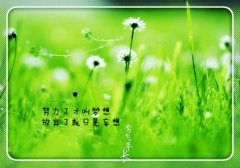 关于骗子的说说