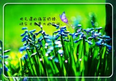 励志的短句子摘抄大全