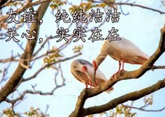 发朋友圈早安励志简短的句子