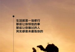 晚上好元气满满正能量的句子