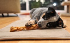 适合大清早发的朋友圈的幽默句子