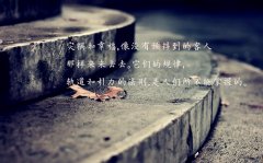 微信每天一段清晨励志