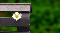 小学生每日一句精美句子