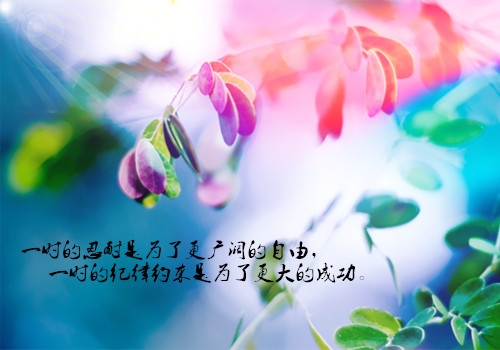 积极向上的句子简短八个字