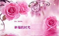 生活中太多无奈的句子
