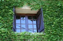 女生最爱听的甜言蜜语