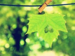 幽默搭讪的句子