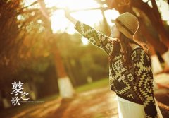 适合早上发朋友圈的句子