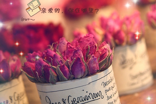 适合表白的超甜暖心情话