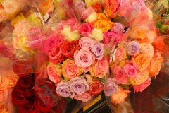 官宣爱情的简单一句话