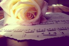 给女朋友空间留言的暖心情话