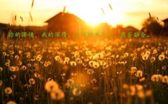 突然顿悟的经典句子