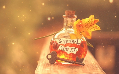 适合上抖音上热门的搞笑句子