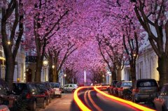 有关珍惜爱情的经典句子