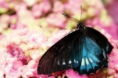 一句污污的可爱情话