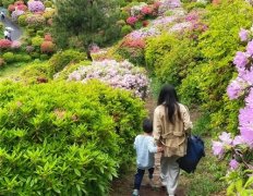 关于宝妈的正能量句子