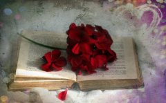 狼道经典语录大全