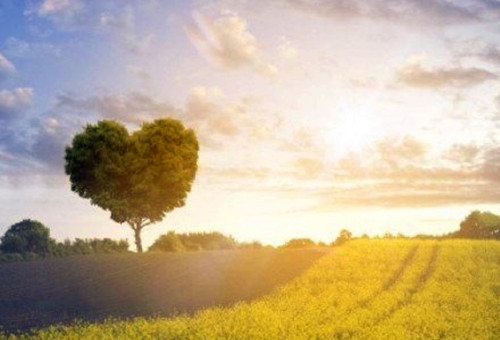 半夜惊醒的心情说说