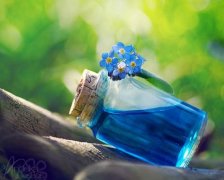 关于结束了的说说