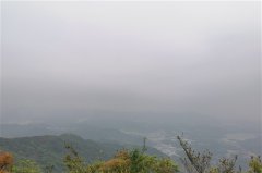 风大不敢出门的搞笑说说