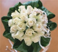 表白情话最暖心一段话