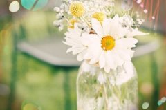 难忘的优美句子