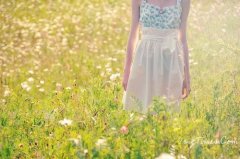 梦幻般的优美的句子